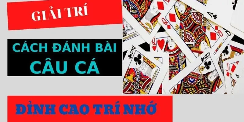 Kinh nghiệm chơi bài câu cá hiệu quả tăng xác suất thắng