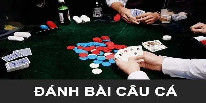 Tìm hiểu về cách chơi bài câu cá đơn giản và hiệu quả