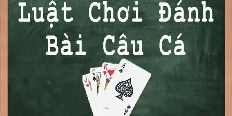 Tiết lộ cách chơi bài câu cá chi tiết cho người mới