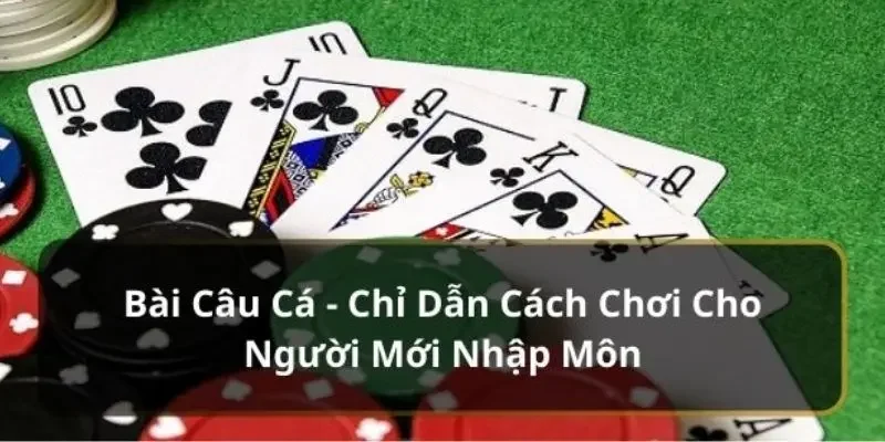 Chiến thuật để luôn thắng trong cách chơi bài câu cá